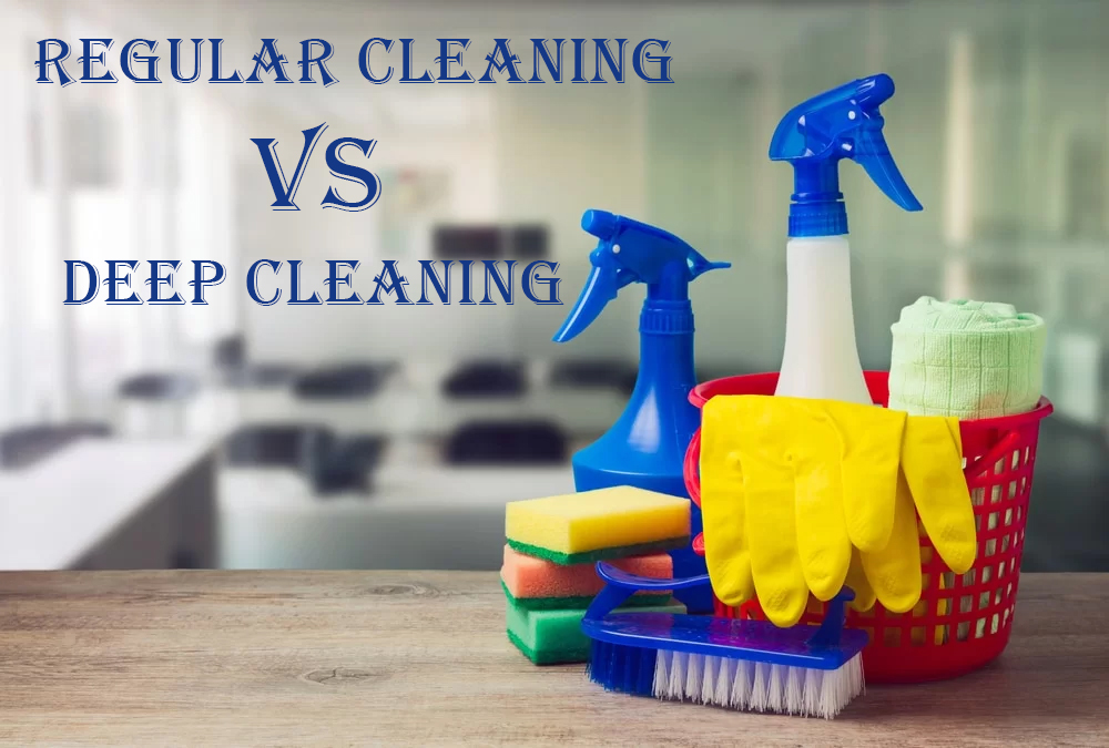 Deep Clean vs Regular Clean & When You Need It